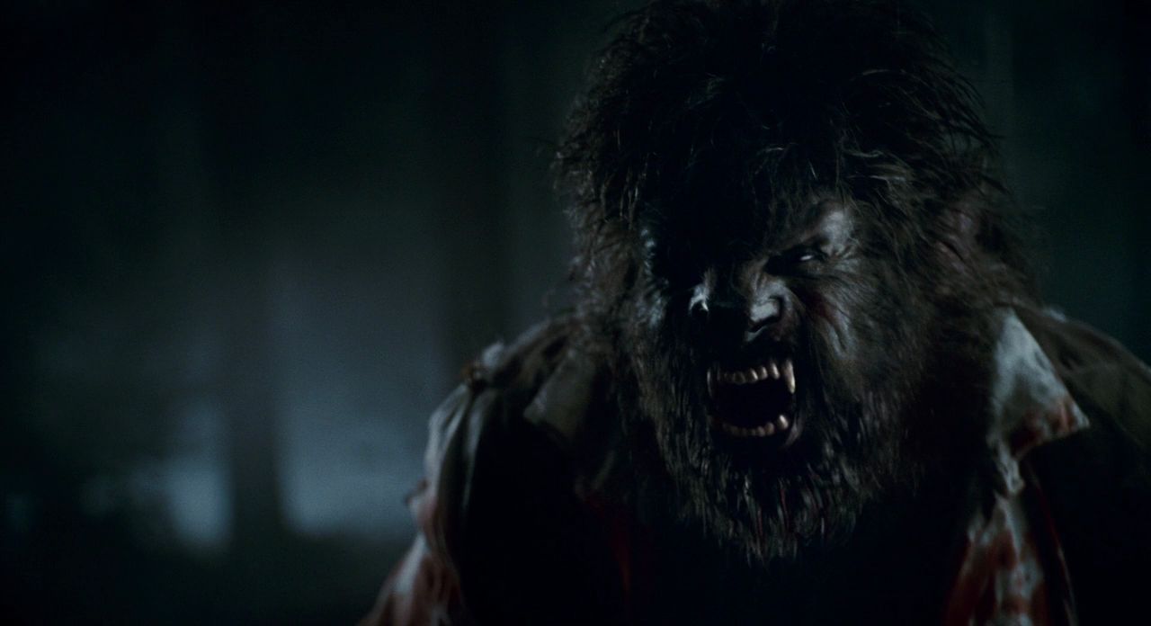 The Wolfman Pics, Movie Collection