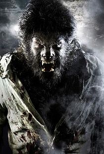 Nice Images Collection: The Wolfman Desktop Wallpapers