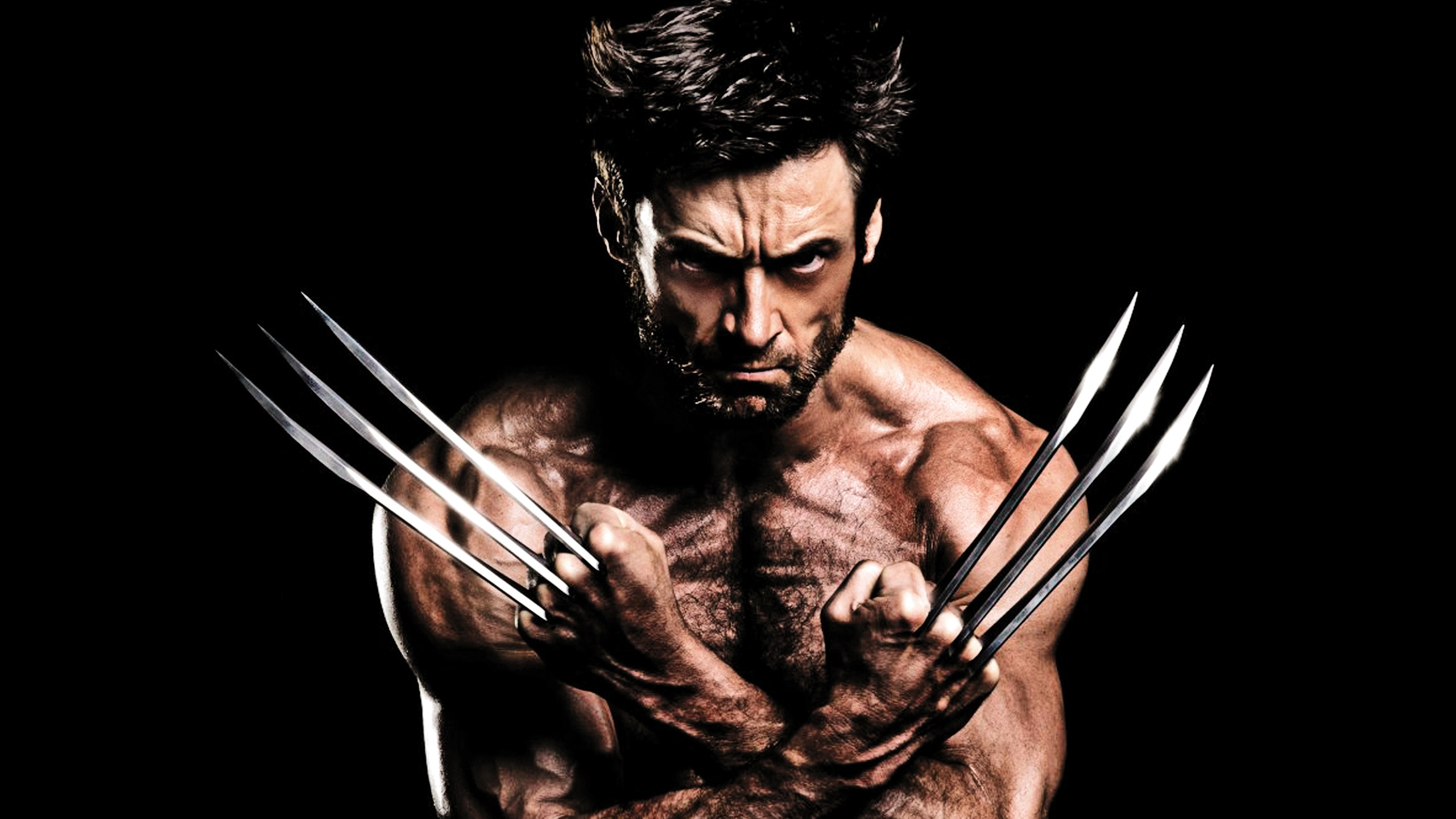 HD Quality Wallpaper | Collection: Movie, 2560x1440 The Wolverine