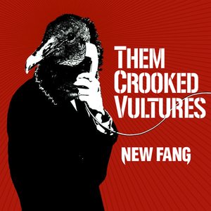 Them Crooked Vultures #17