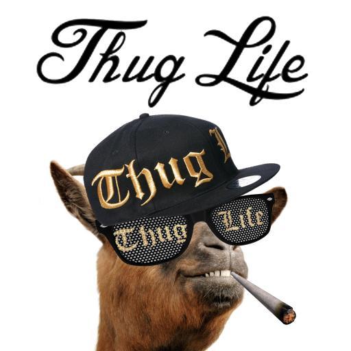 Thug Life Backgrounds, Compatible - PC, Mobile, Gadgets| 512x512 px