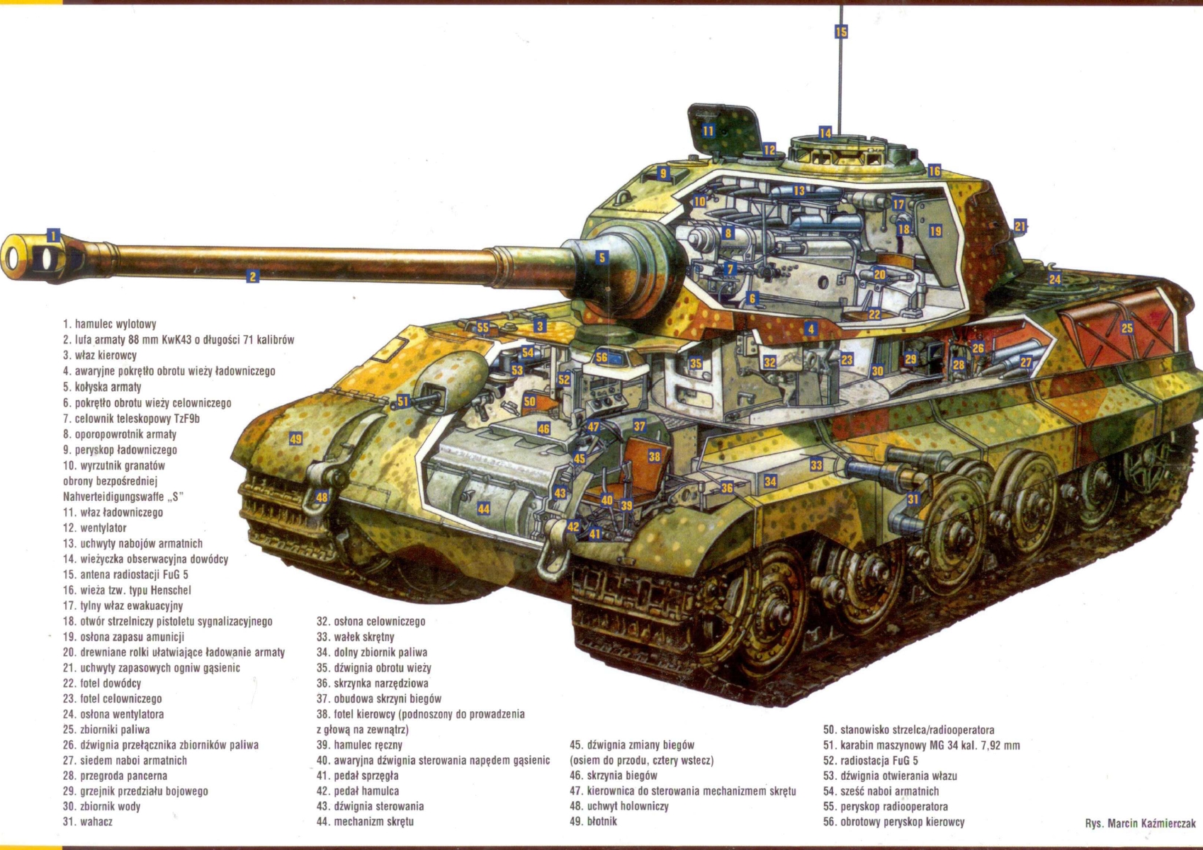 Tiger Tank #24