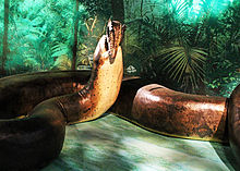 Titanoboa High Quality Background on Wallpapers Vista