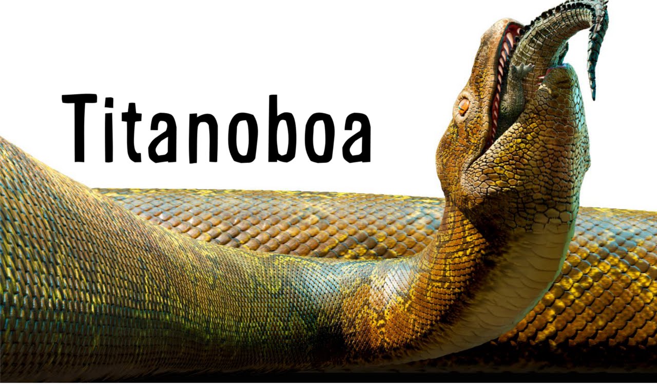 Titanoboa Pics, Animal Collection