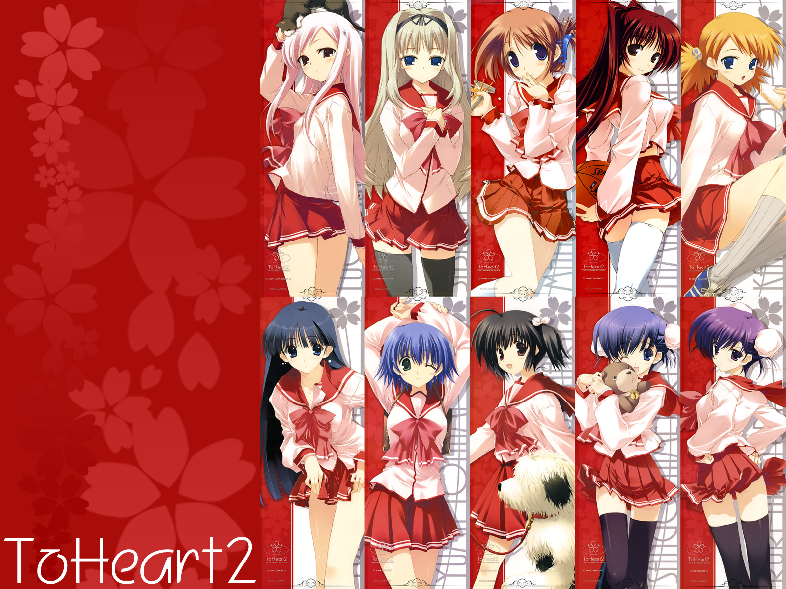 To Heart 2 Pics, Anime Collection