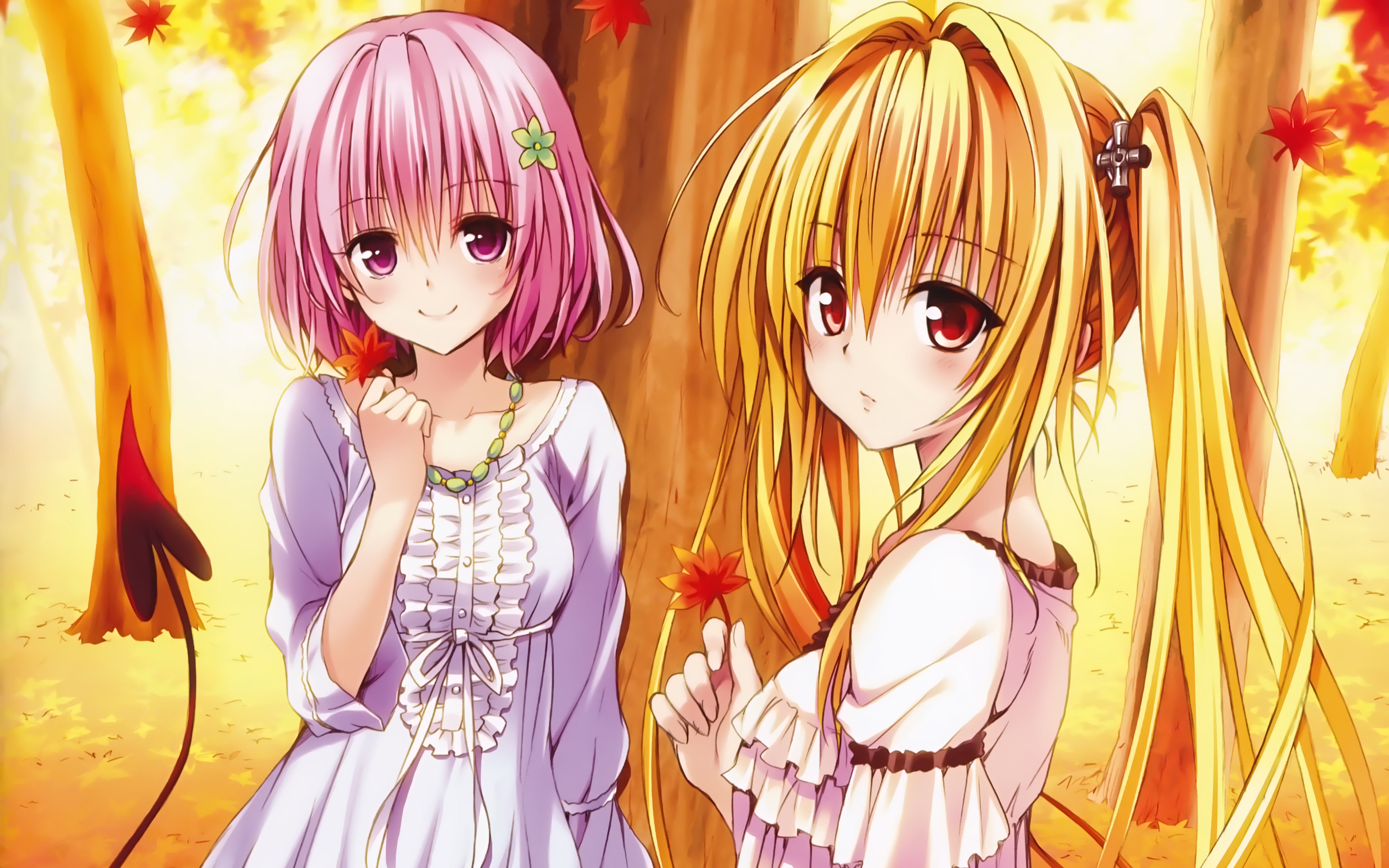 To Love Ru Darkness Wallpapers Anime Hq To Love Ru Darkness Pictures 4k Wallpapers 19