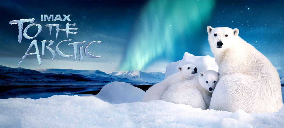 High Resolution Wallpaper | To The Arctic 1170x528 px