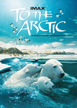 To The Arctic Backgrounds, Compatible - PC, Mobile, Gadgets| 250x352 px