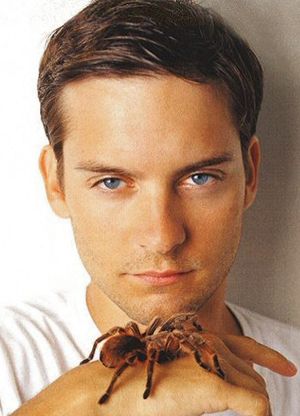 High Resolution Wallpaper | Tobey Maguire 300x416 px