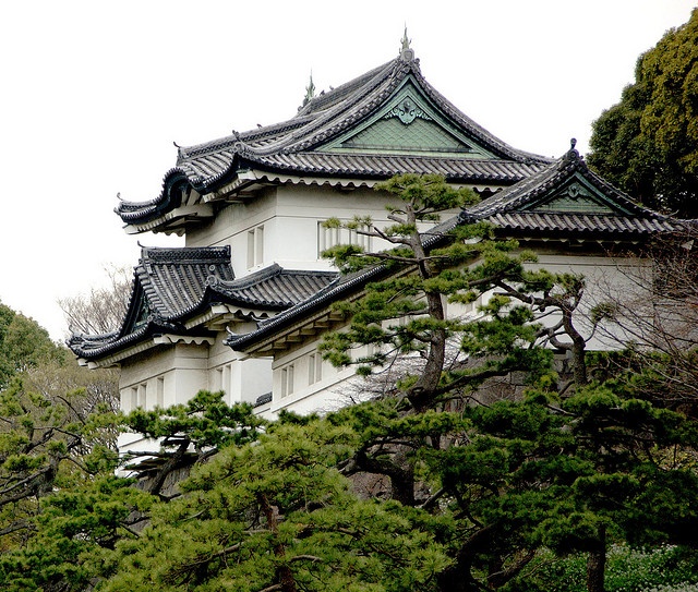 Images of Tokyo Imperial Palace | 640x543