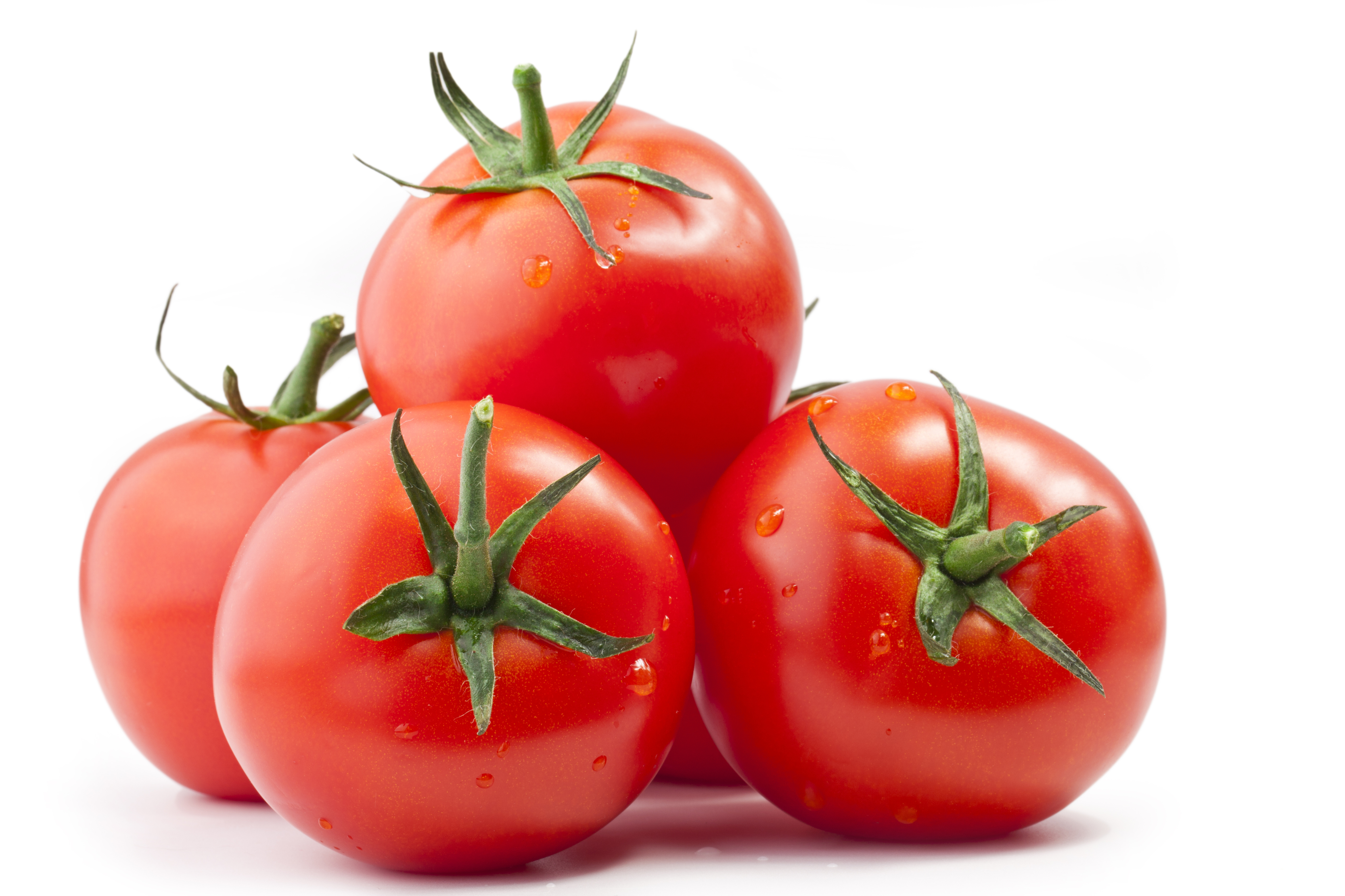 Nice Images Collection: Tomato Desktop Wallpapers