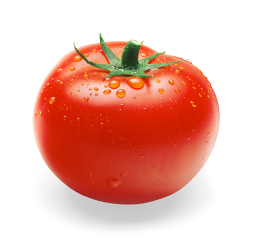 Tomato #6