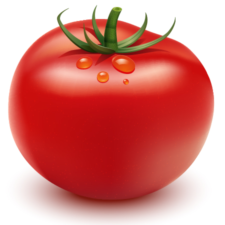 Tomato #1