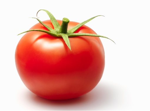 Tomato #11