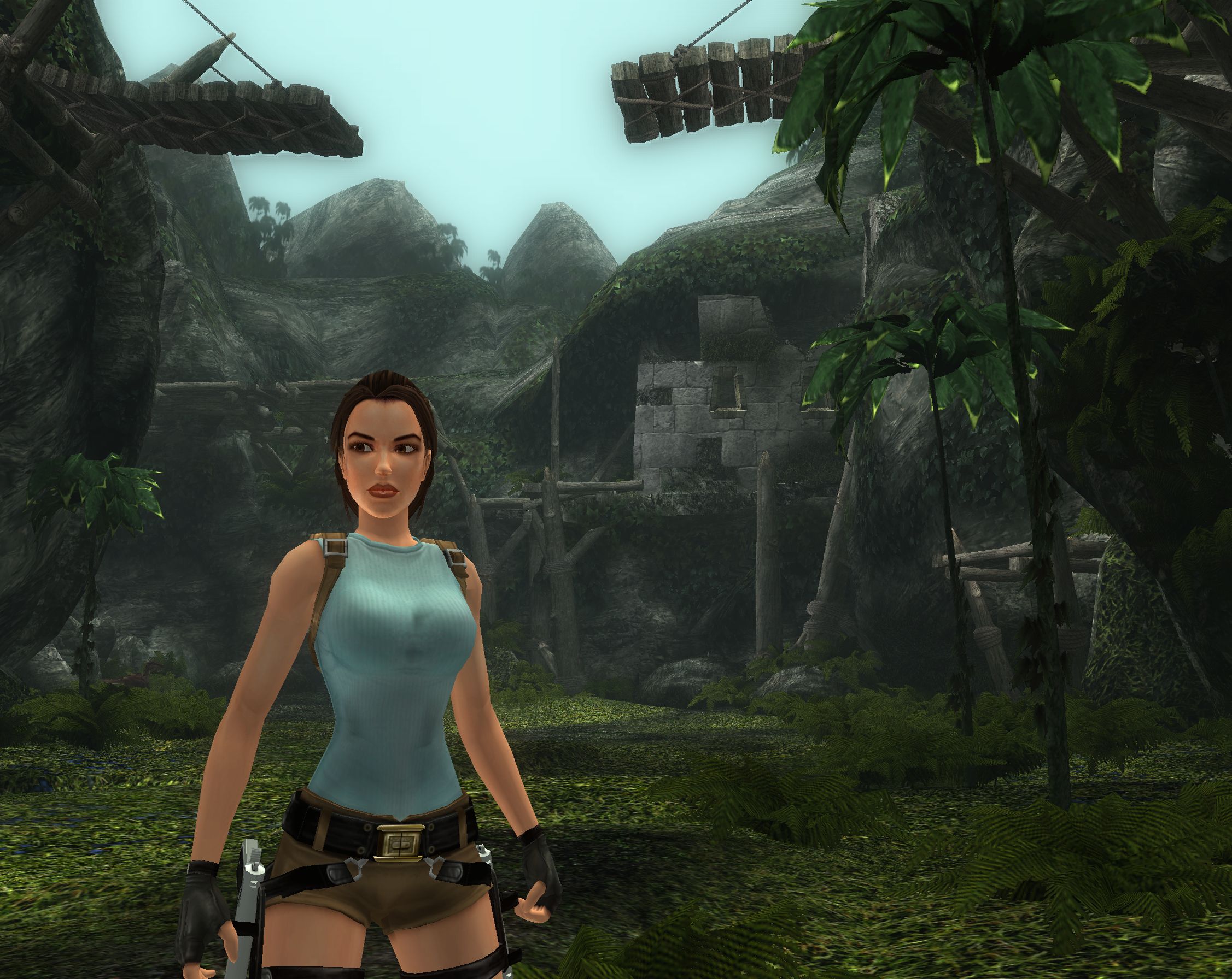 Tomb Raider Anniversary #19