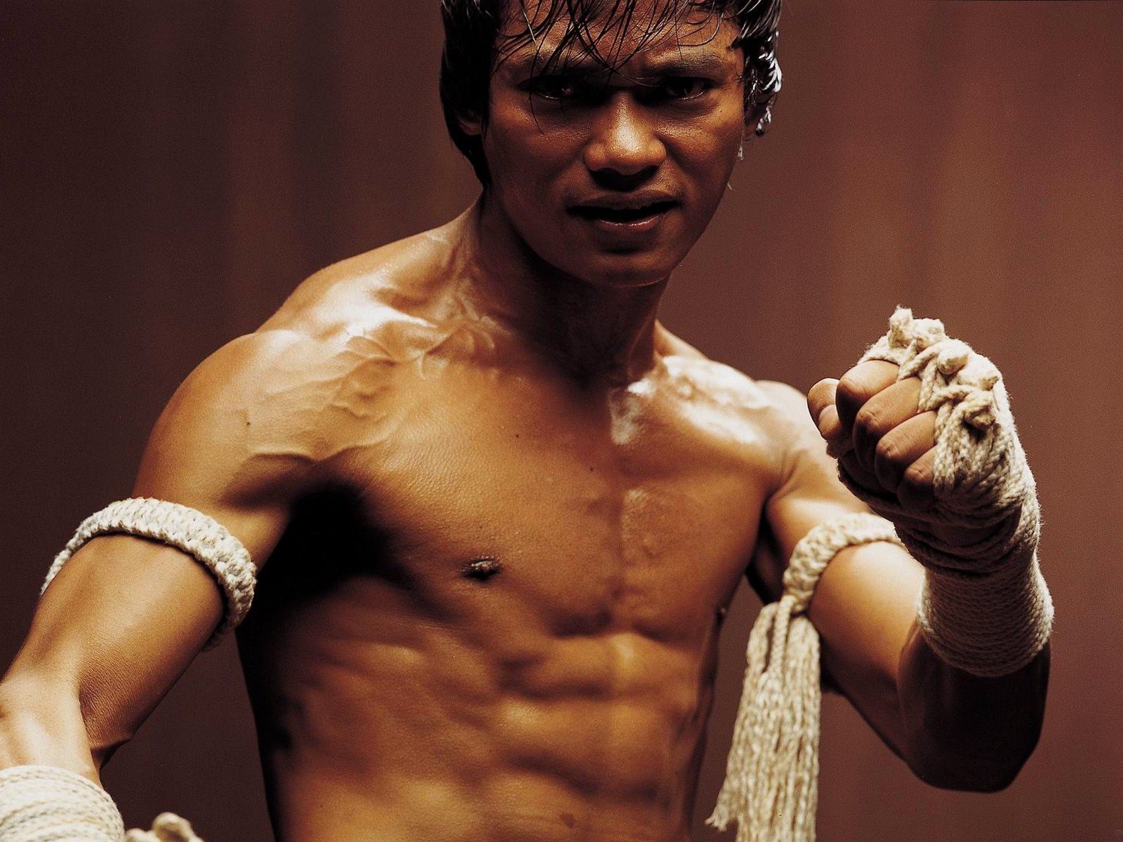 HD Quality Wallpaper | Collection: Celebrity, 1600x1200 Tony Jaa