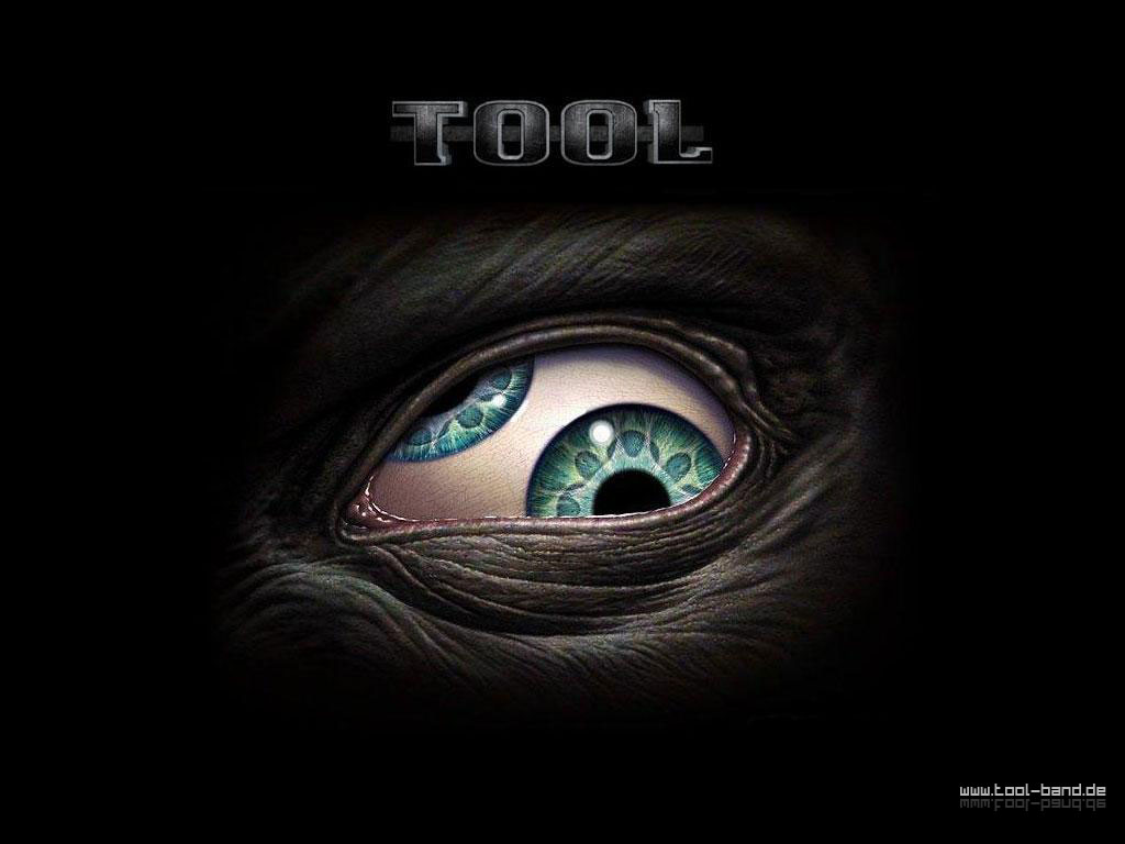 Images of Tool | 1024x768