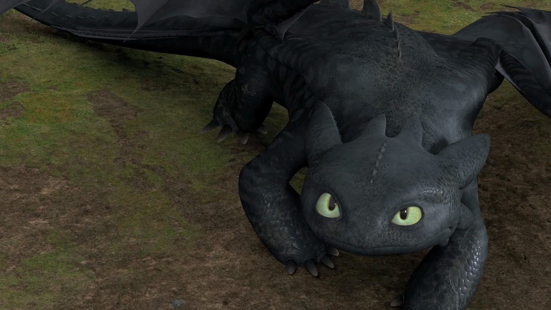 Toothless Backgrounds on Wallpapers Vista