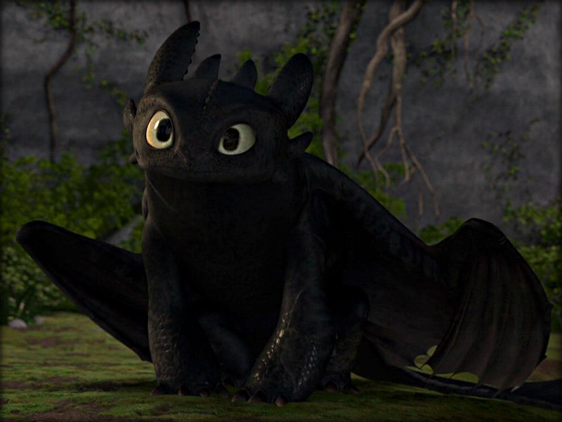 Toothless Backgrounds, Compatible - PC, Mobile, Gadgets| 800x600 px