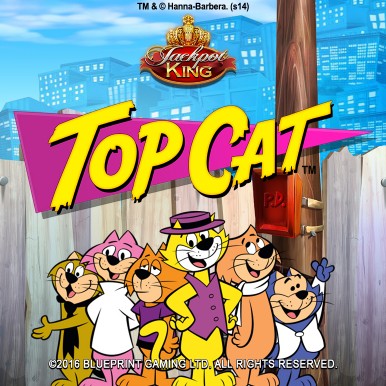 Amazing Top Cat Pictures & Backgrounds