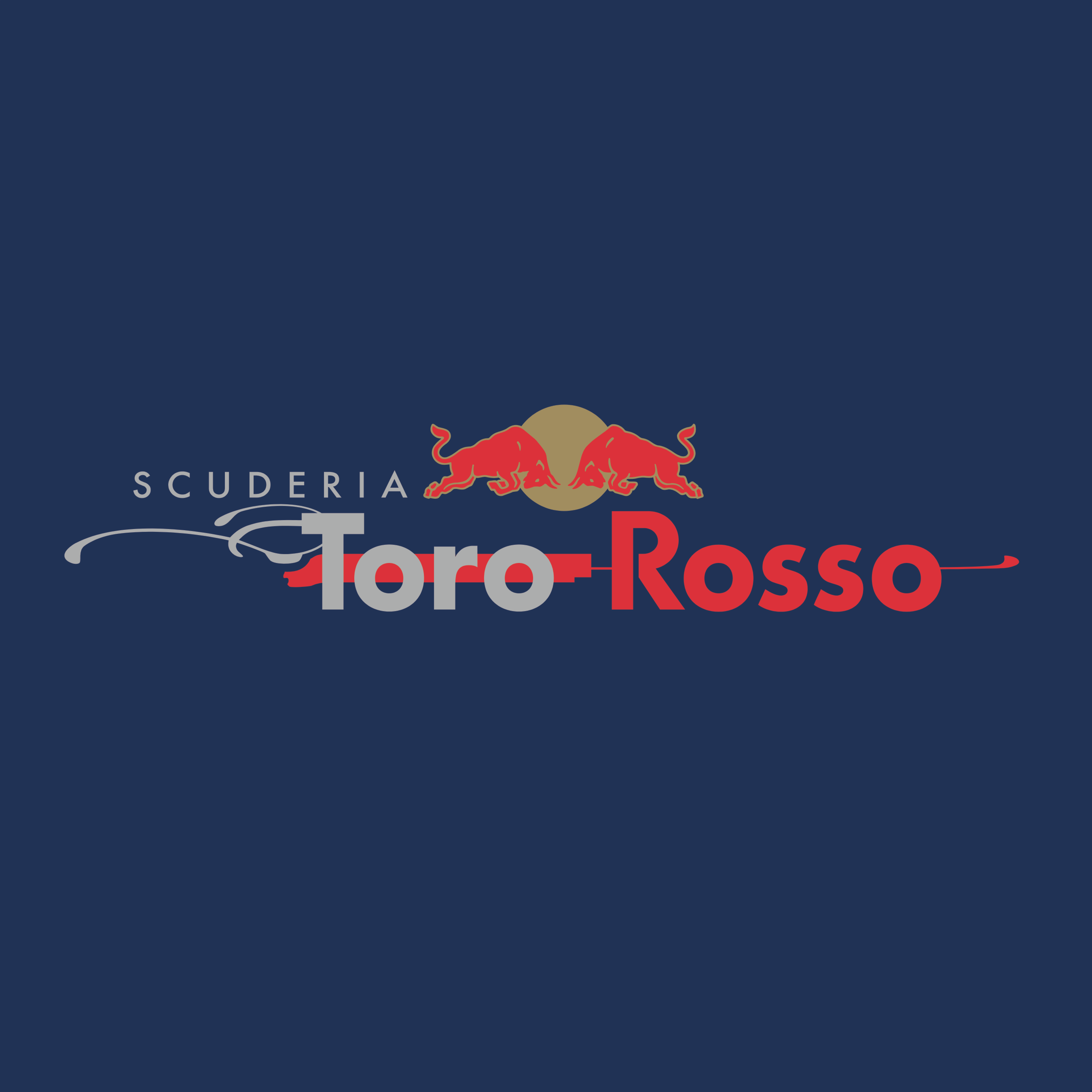 Toro Rosso #19