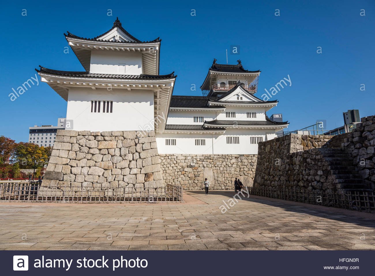 Nice wallpapers Toyama Castle 1300x957px