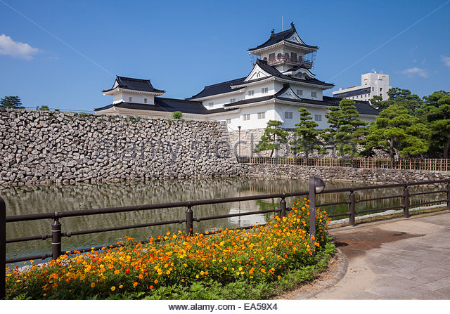 Nice Images Collection: Toyama Castle Desktop Wallpapers
