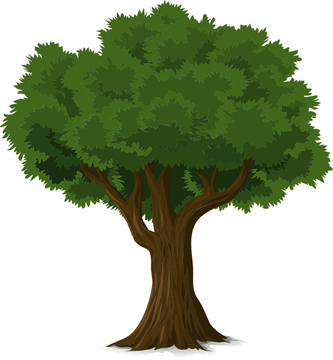 HD Quality Wallpaper | Collection: Artistic, 666x720 Tree