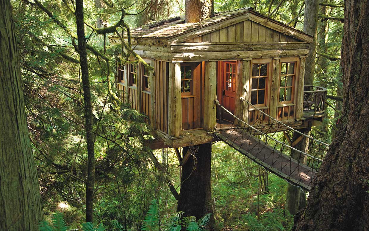 Treehouse Masters #2