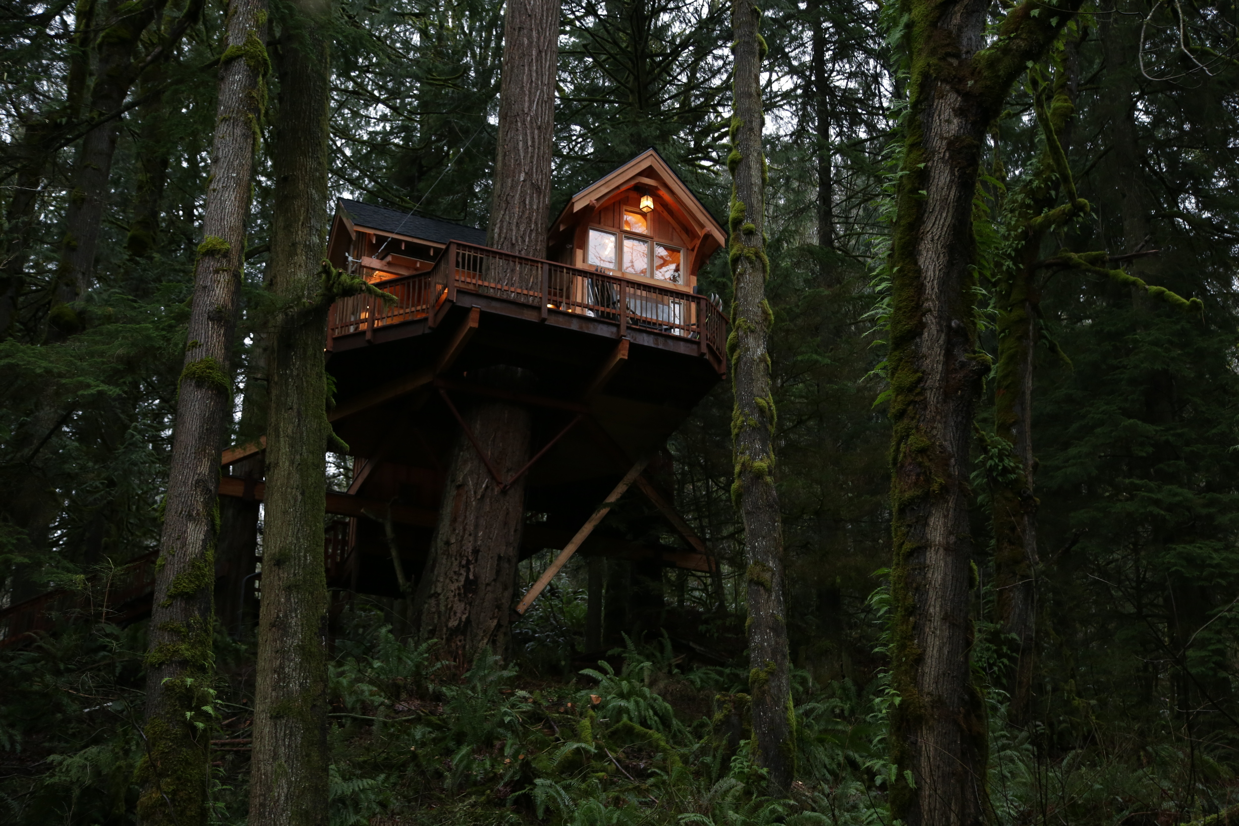Treehouse Masters #5
