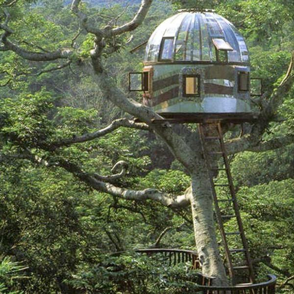 Treehouse Masters High Quality Background on Wallpapers Vista