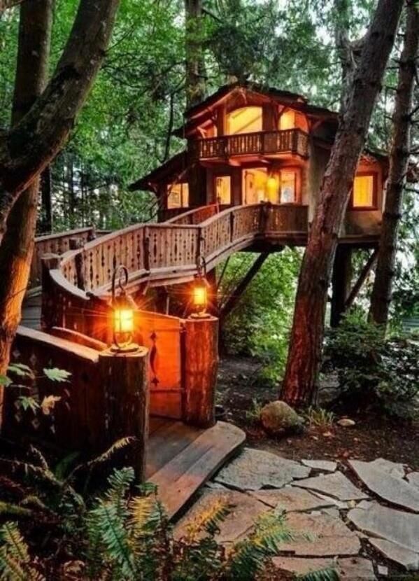 Amazing Treehouse Masters Pictures & Backgrounds