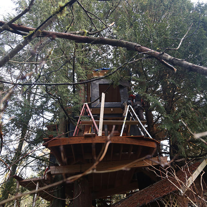 Images of Treehouse Masters | 667x667