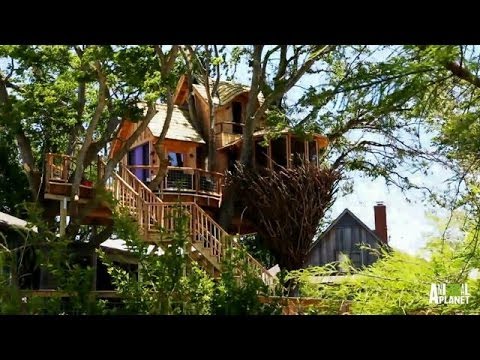 Treehouse Masters #12