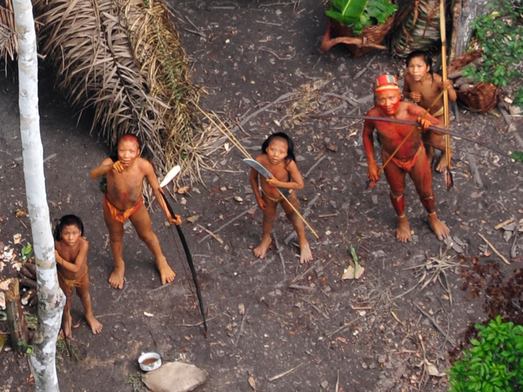 Индейцы Бразилии неконтактные племена