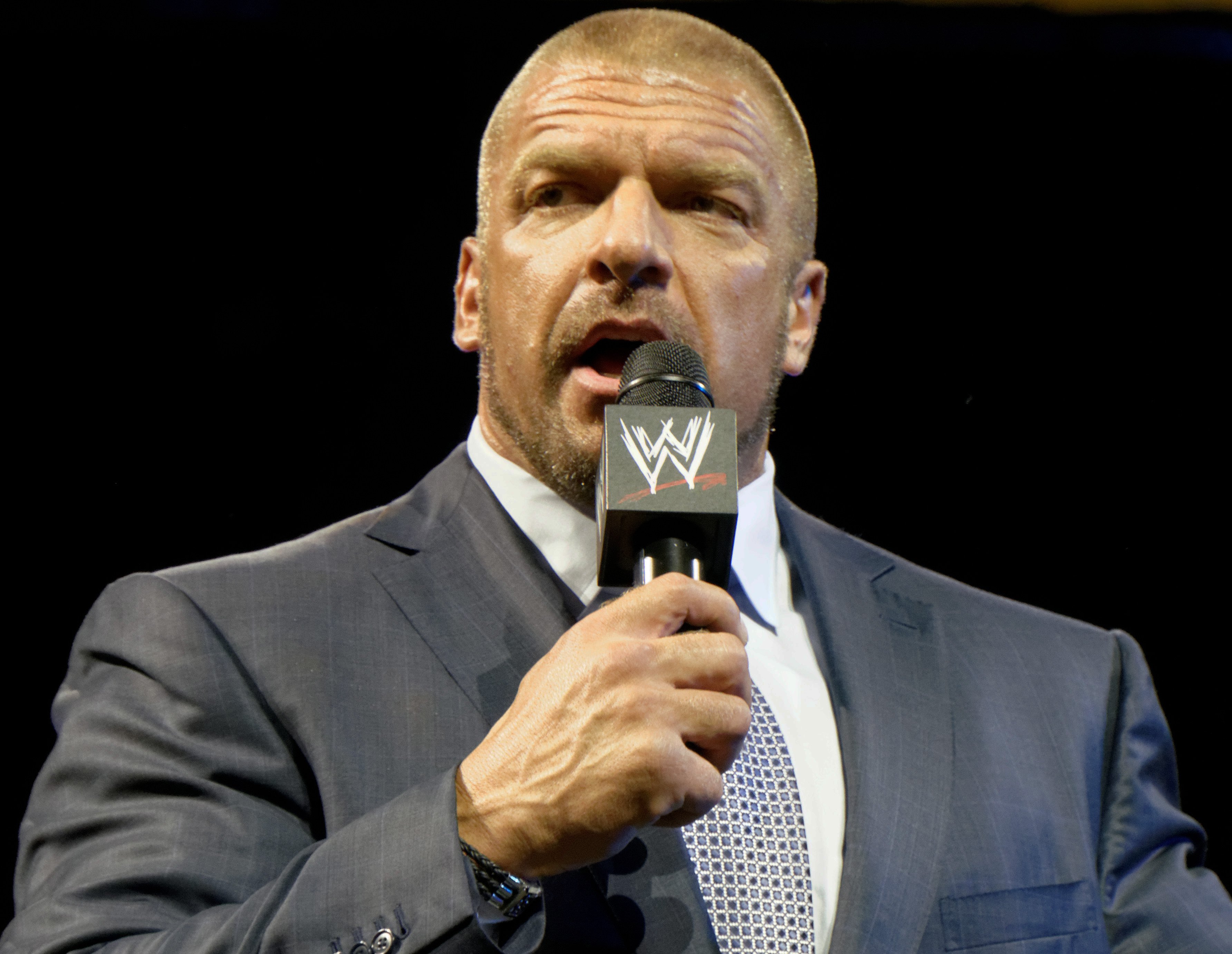 Nice Images Collection: Triple H Desktop Wallpapers