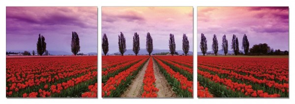 Triptych HD wallpapers, Desktop wallpaper - most viewed