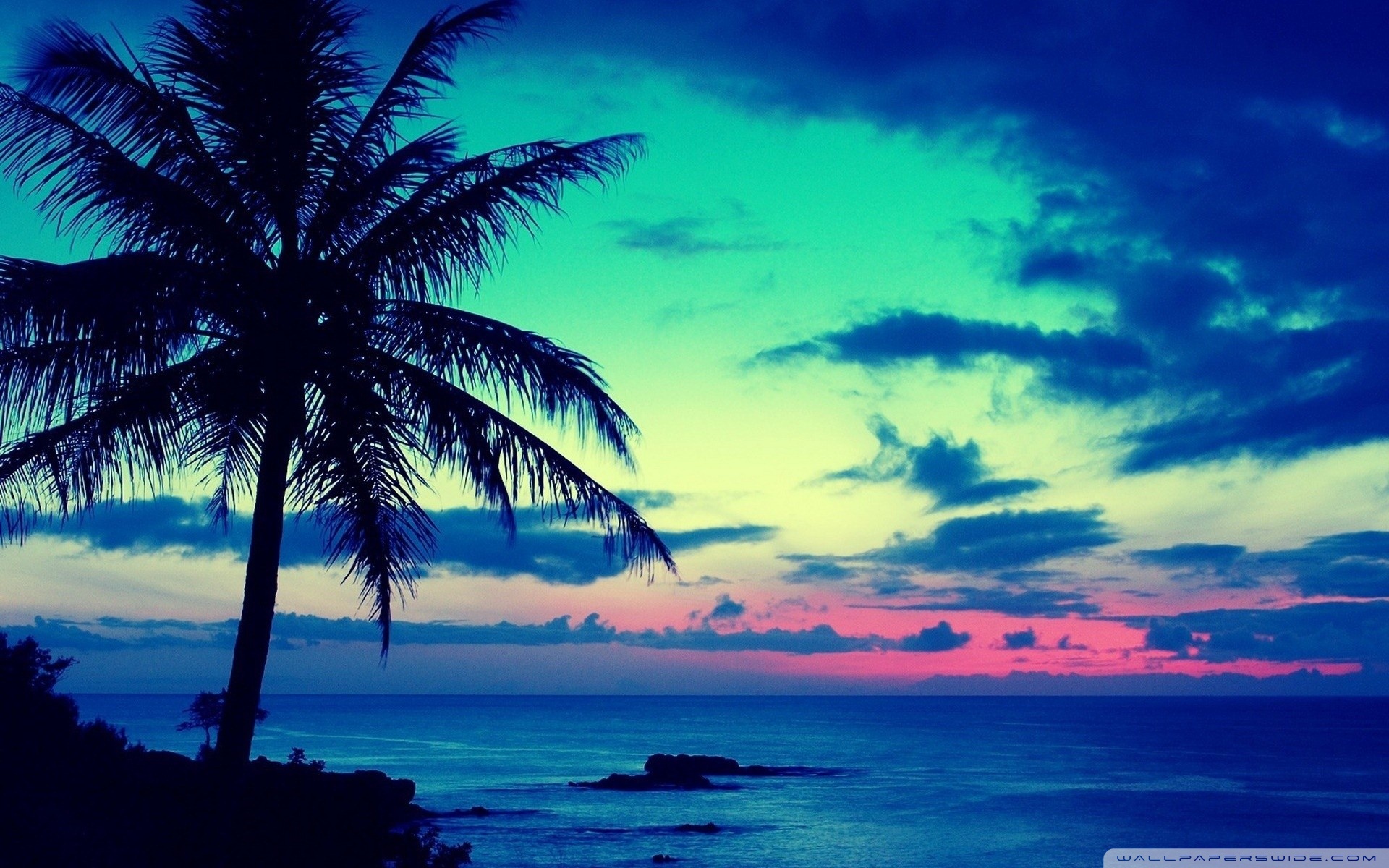Tropical Backgrounds on Wallpapers Vista