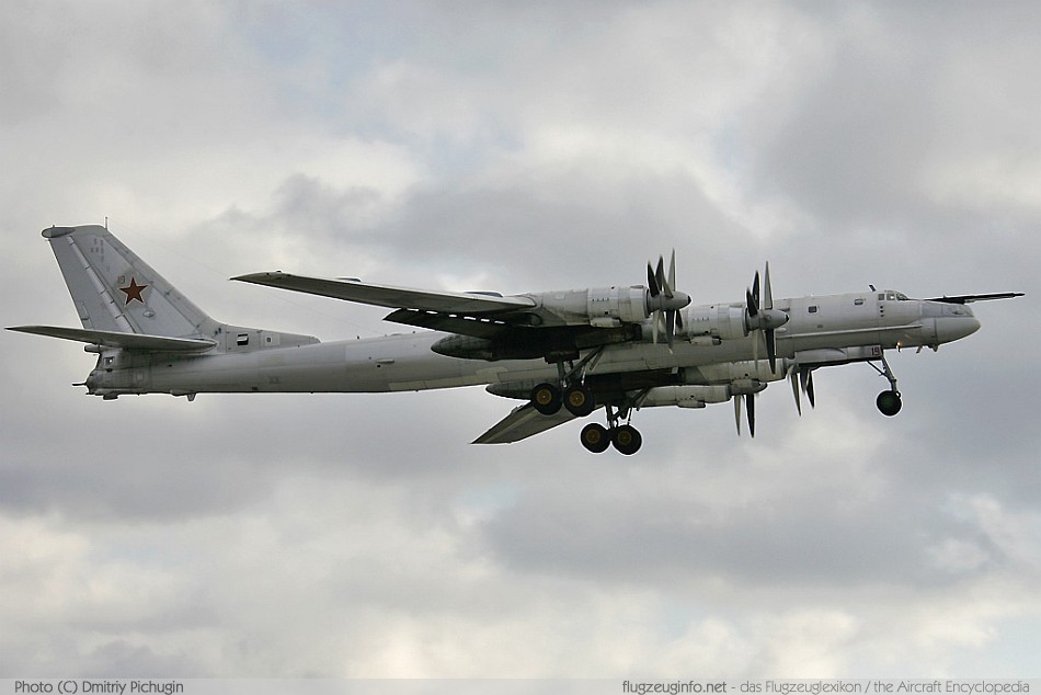 Tupolev Tu-95 #19