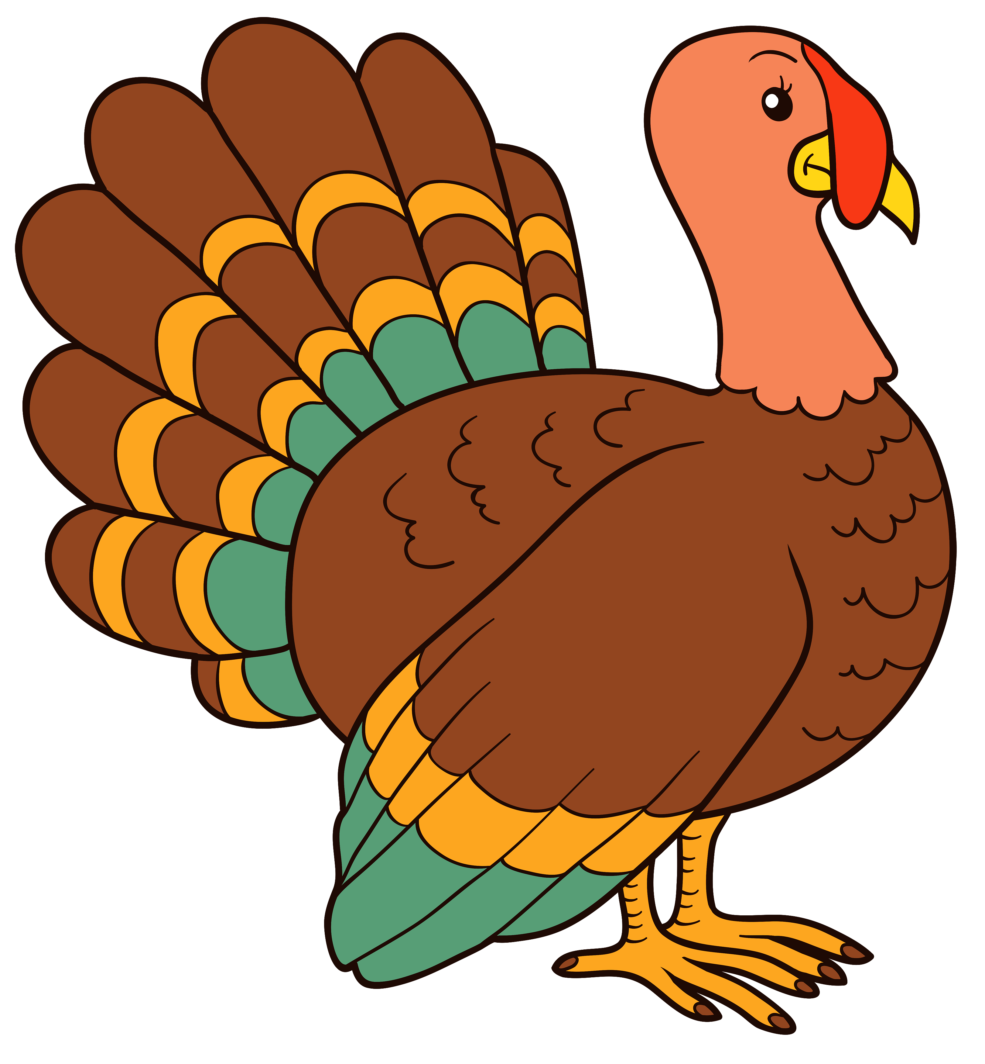 HD Quality Wallpaper | Collection: Animal, 3243x3500 Turkey