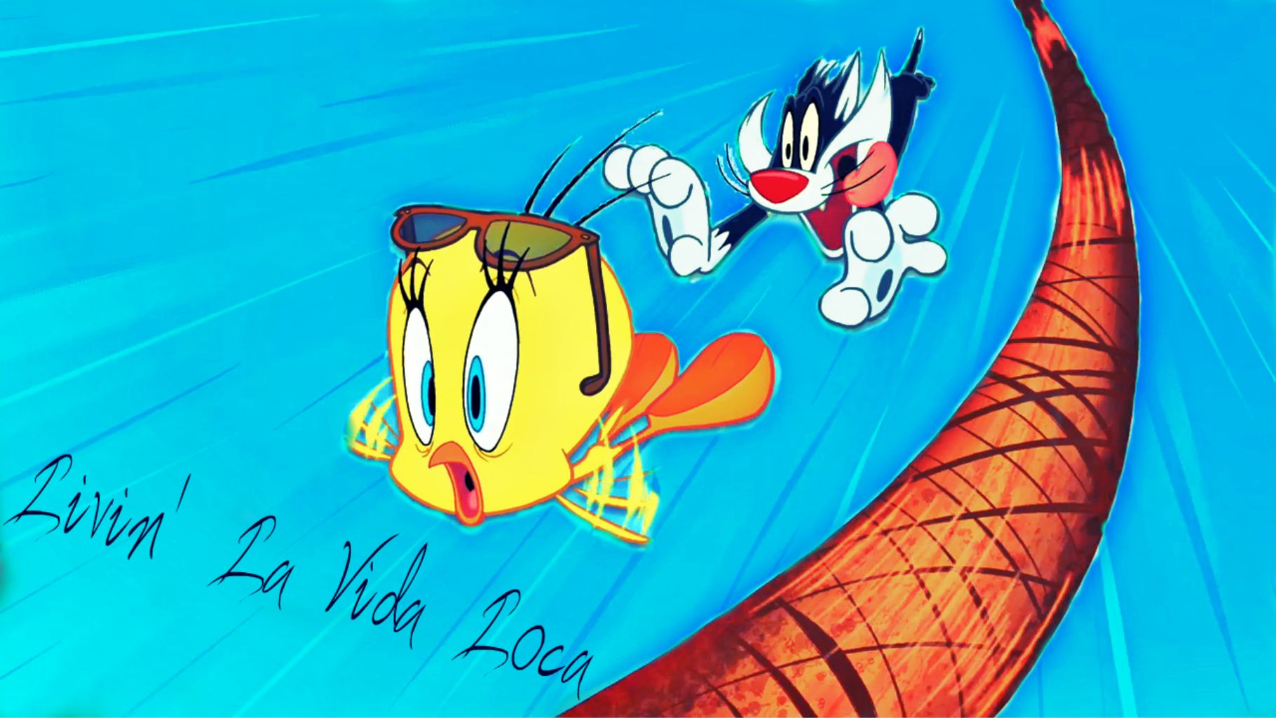 High Resolution Wallpaper | Tweety And Sylvester 1820x1024 px
