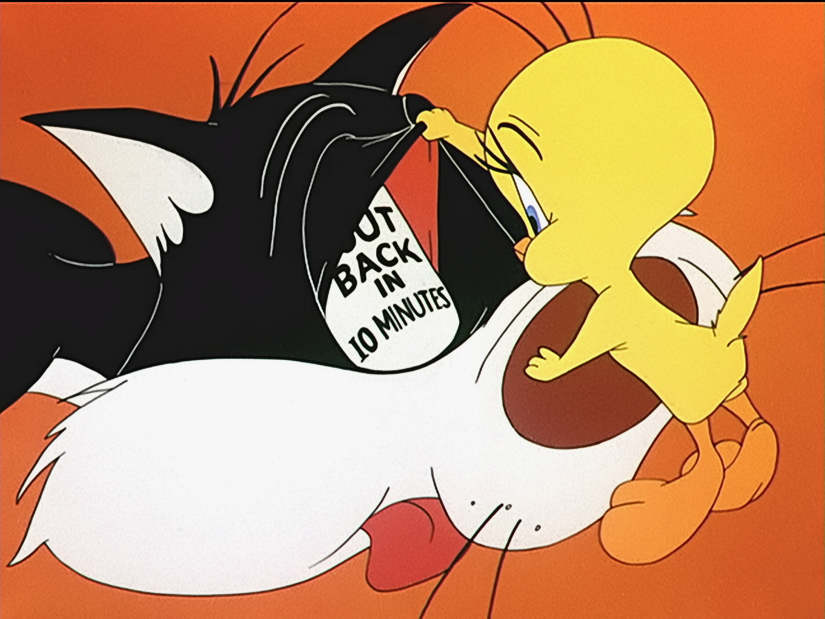 Tweety And Sylvester #9
