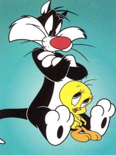 Amazing Tweety And Sylvester Pictures & Backgrounds