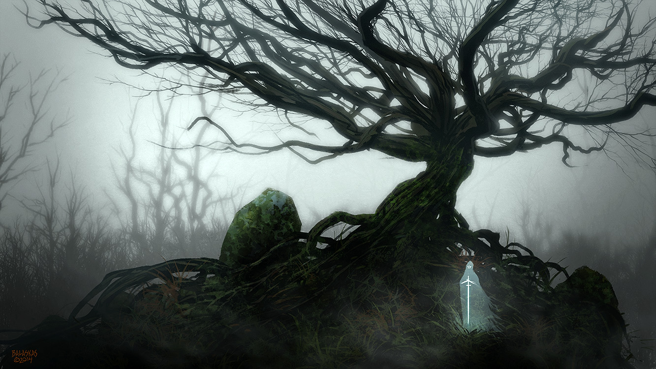 Nice Images Collection: Twisted Tree Desktop Wallpapers