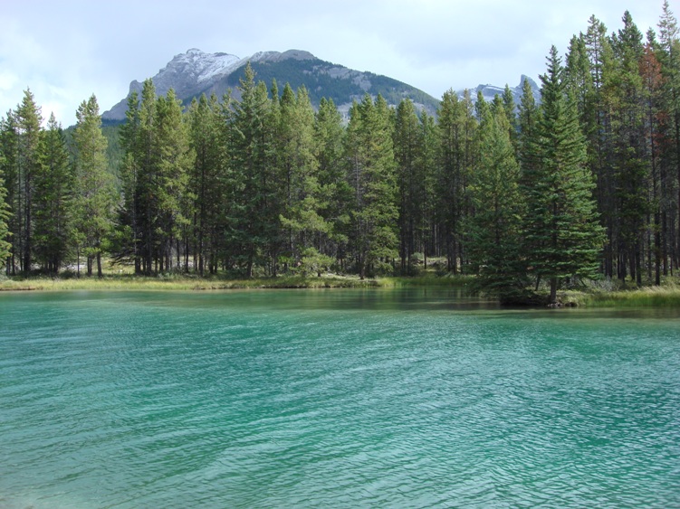 Two Jack Lake Backgrounds, Compatible - PC, Mobile, Gadgets| 751x563 px