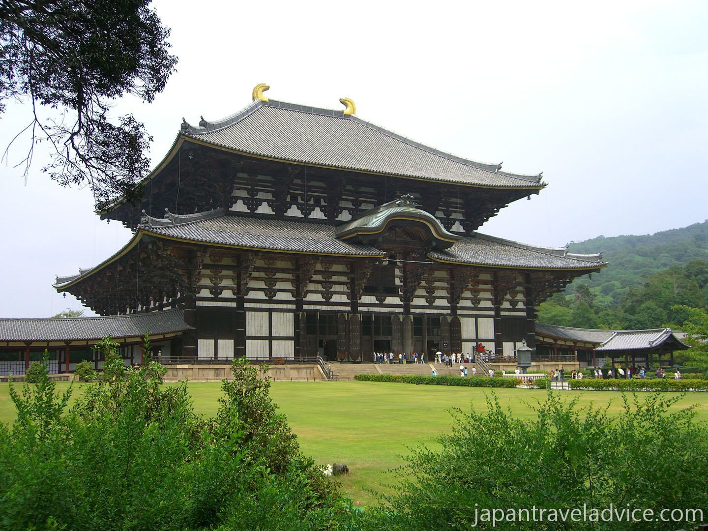 Images of Tōdai-ji | 1440x1080