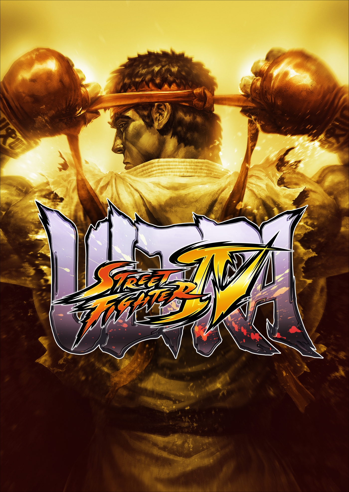 HD Quality Wallpaper | Collection: Video Game, 1400x1973 Ultra Street Fighter IV
