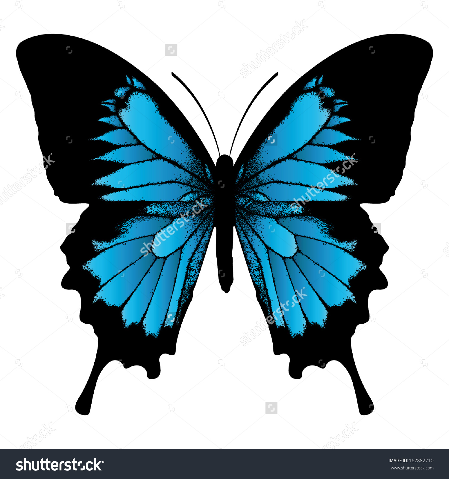 HQ Ulysses Butterfly Wallpapers | File 574.21Kb