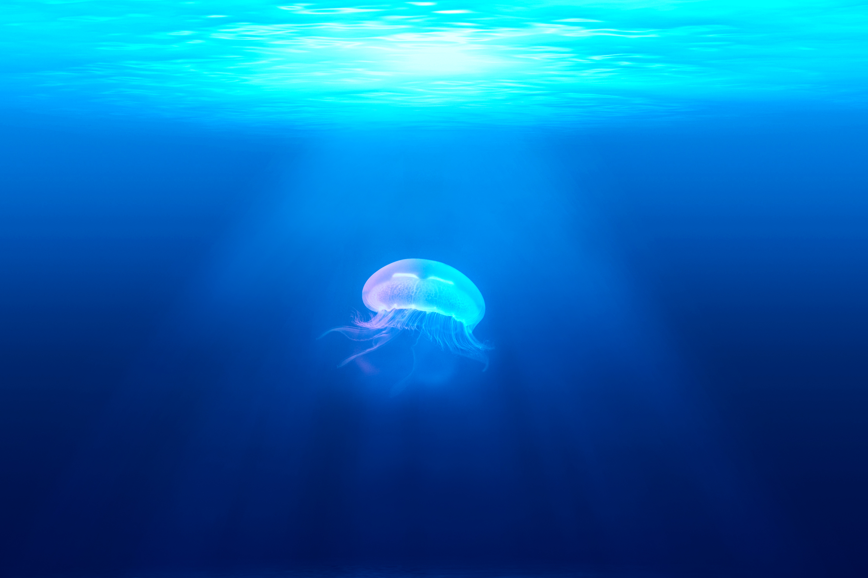 HD Quality Wallpaper | Collection: Artistic, 3000x2000 Underwater