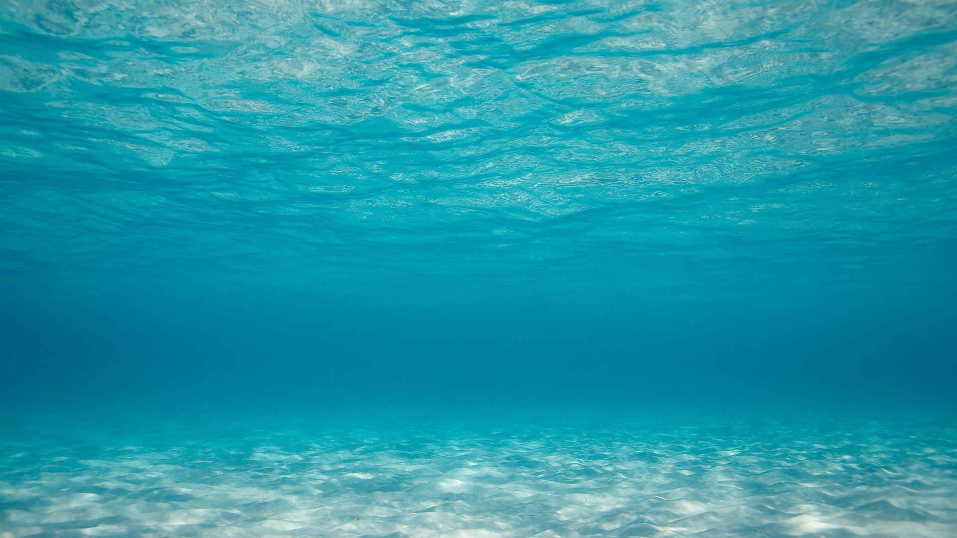 Nice Images Collection: Underwater Desktop Wallpapers